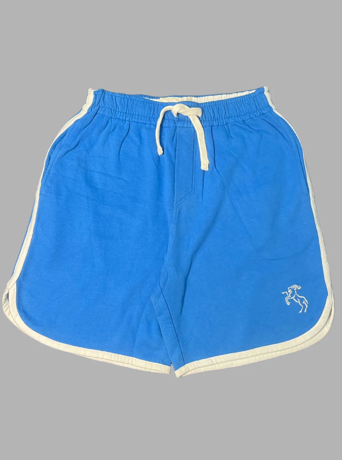 Sky Blue Shorts for Men – Casual Cotton Shorts by Boer and Fitch
