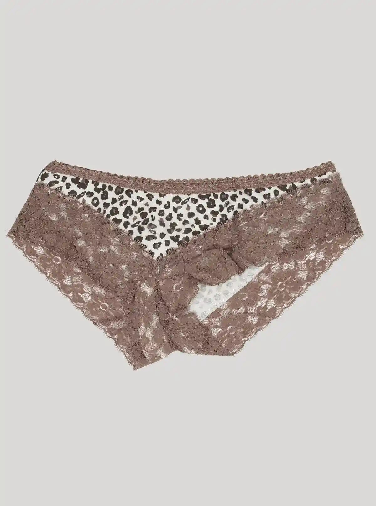 Women’s Brown Lace Panty – Elegant & Comfortable | Boer & Fitch | Buy Online at  Boer and Fitch